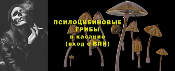 ПСИЛОЦИБИНОВЫЕ ГРИБЫ Абинск