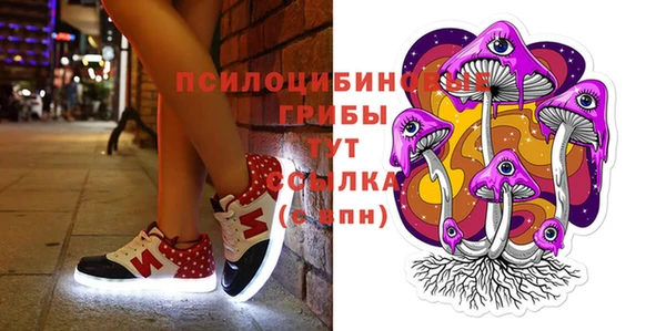 Альфа ПВП Олёкминск