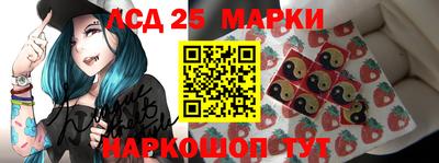 стафф Донецк