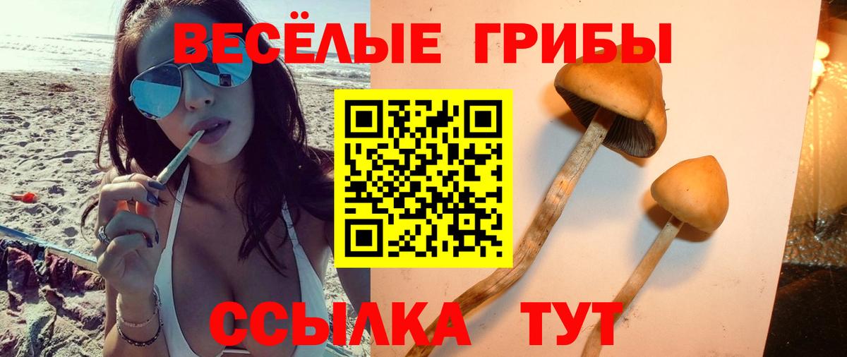 Псилоцибиновые грибы Magic Shrooms Майкоп