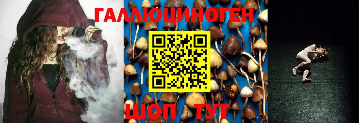 Майкоп  Псилоцибиновые грибы ЛСД  Галлюциногенные грибы Psilocybine cubensis  Вход с VPN 